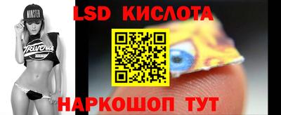 apvp Гатчина