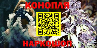 apvp Гатчина