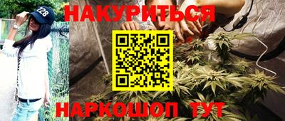 apvp Гатчина