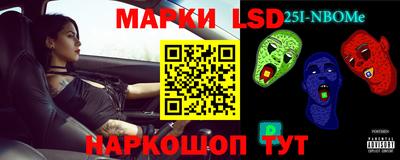 apvp Гатчина