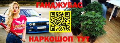 дурь Гай