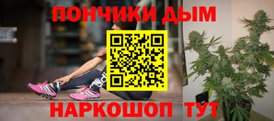 apvp Гатчина