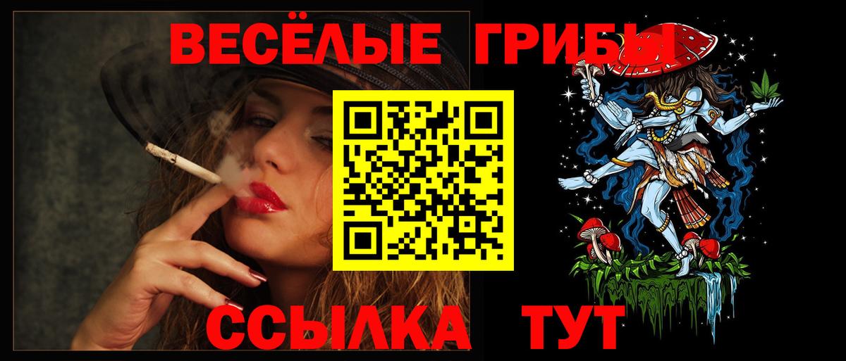 Псилоцибиновые грибы мицелий Березники