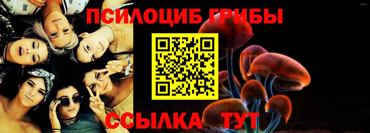 Березники  Псилоцибиновые грибы мухоморы  Псилоцибиновые грибы Psilocybe  Вход с VPN 